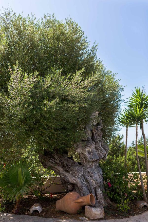 Villa Ca Na Vinya Cala Tarida  Exterior photo